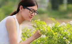 相爱十年全集下载